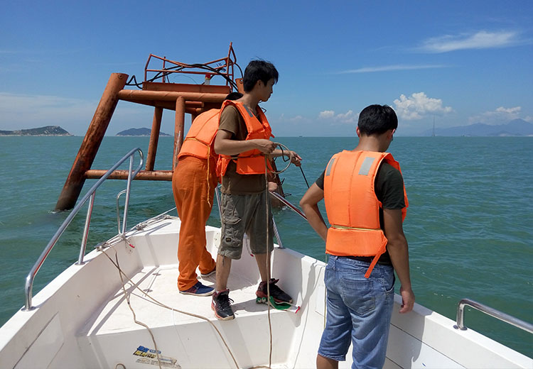 Acoustical Consulting Experts, monitoring for Chinese white dolphins, Indo-Pacific finless porpoises